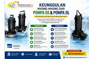 Keunggulan Masing Masing dari Pompa DS dan Pompa DL