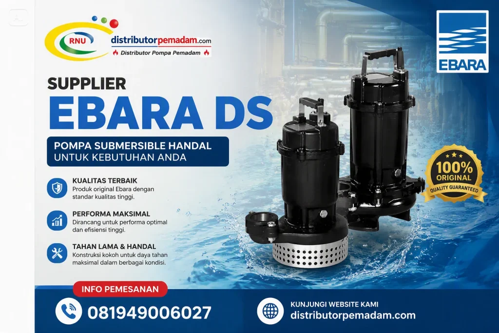 Supplier Ebara DS