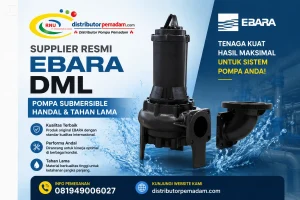 Supplier Ebara DML