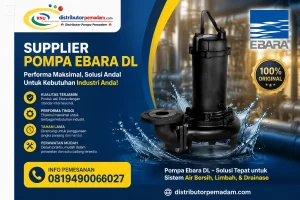 Supplier Ebara DL